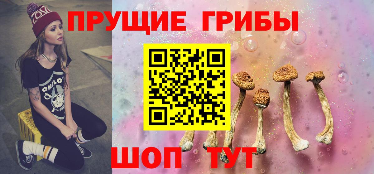 Псилоцибиновые грибы Cubensis Ставрополь