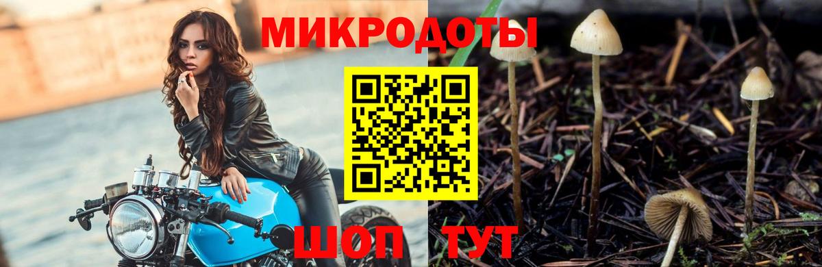 Галлюциногенные грибы Psilocybine cubensis  Галлюциногенные грибы ЛСД  Ставрополь  Вход с VPN 